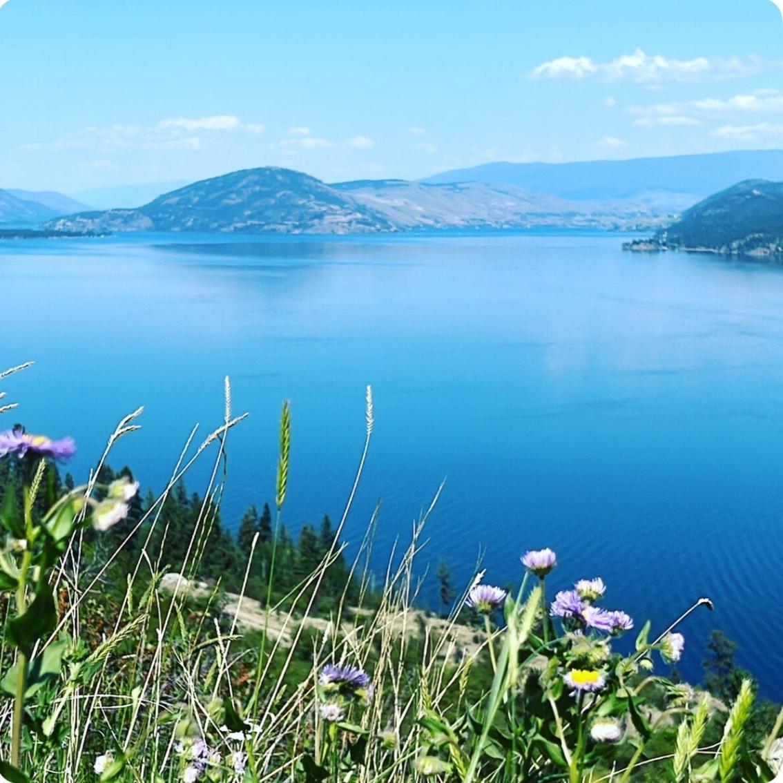 Jasmine Cottage Kelowna Dış mekan fotoğraf