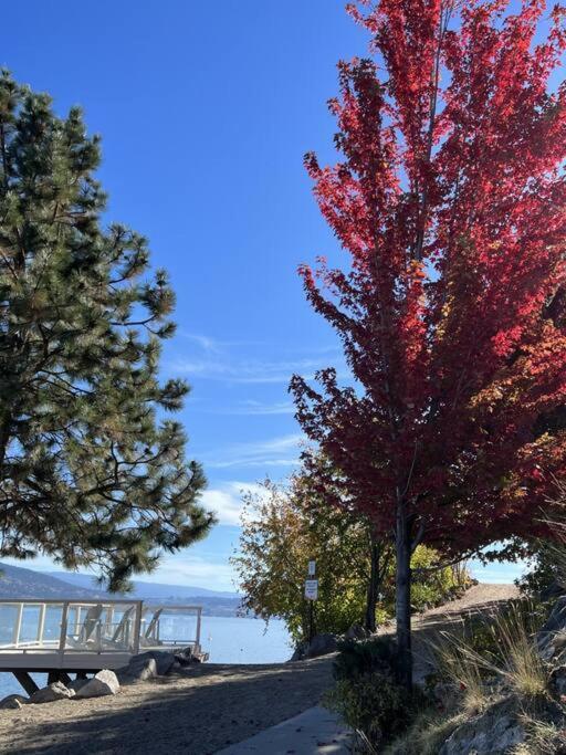Jasmine Cottage Kelowna Dış mekan fotoğraf