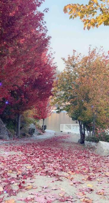 Jasmine Cottage Kelowna Dış mekan fotoğraf